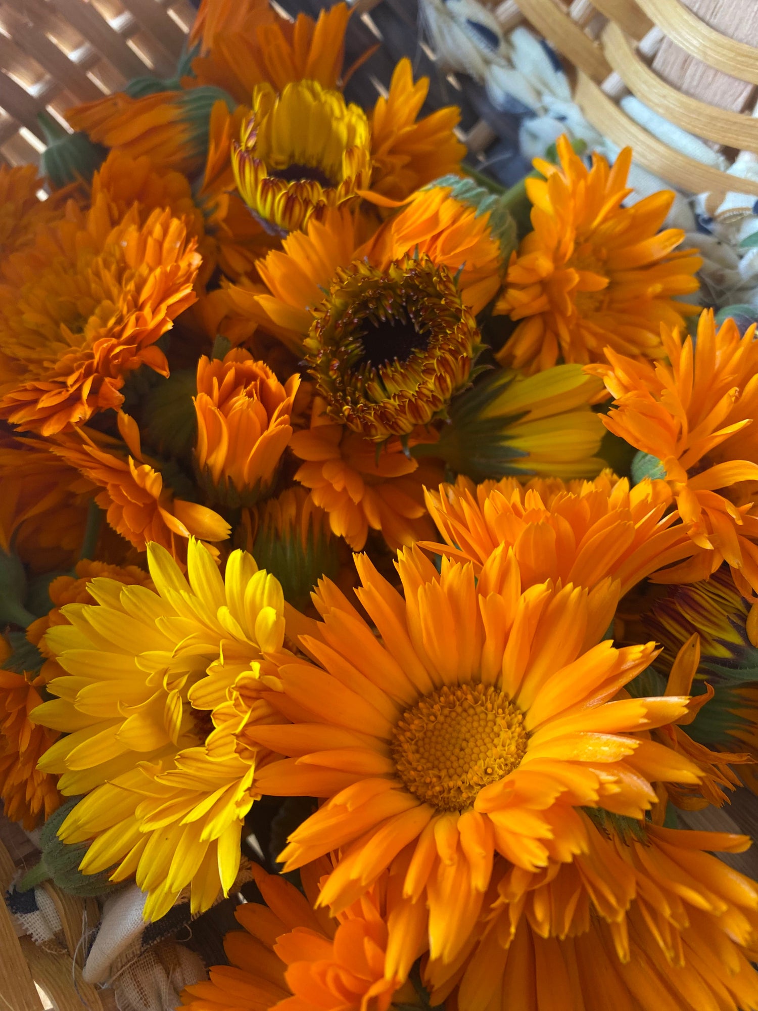 Organic Teas Curated by a Dental Hygienist & Herbalist Supporting the Entire Body